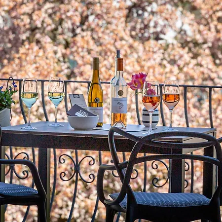 Urlaub Auf Dem Weingut Mit Blick Auf Weinberge Apartmán *